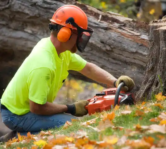 tree services Rosaryville